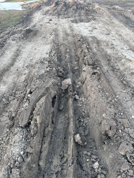 WhatsApp Image 2025-06-11 at 18.34.04 (1)
