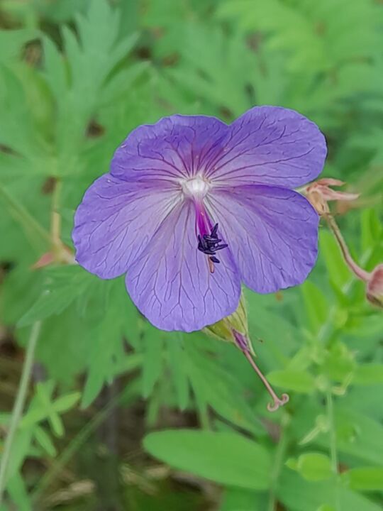 WhatsApp Image 2025-07-20 at 14.13.51 (1)